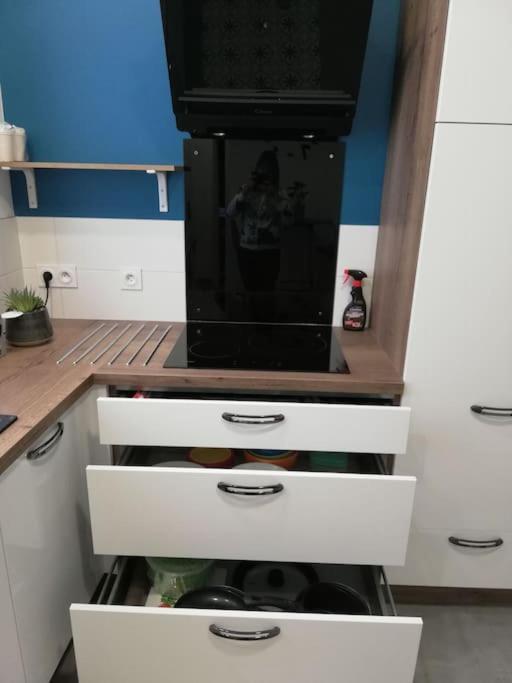 Bel Appartement Coeur De Grenoble Tout Equipe Buitenkant foto